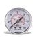Pressure Gauge 40mm back 0-12 Bar