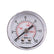 Pressure Gauge 50mm back 0-12 Bar
