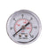 Pressure Gauge 50mm back 0-12 Bar