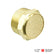 Brass Flat Silencer BSP