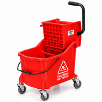 Plastic Bucket & Wringer 33L Maxi