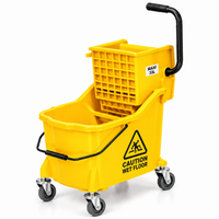 Plastic Bucket & Wringer 33L Maxi