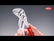 Water Pump Plier 86 01