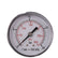 Pressure Gauge 60mm
