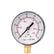 Pressure Gauge 60mm